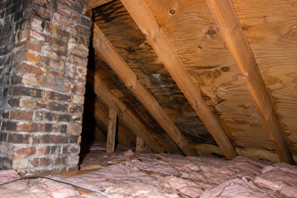 Attic sheathing and rafters near a chimney chase being checked for water staining